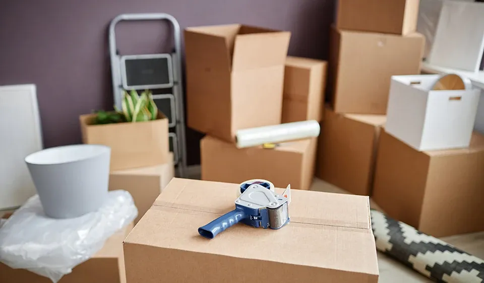 Storage Supplies and boxes